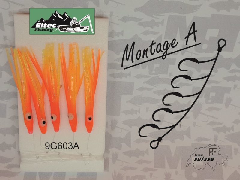 9G603A.jpg 9G603A